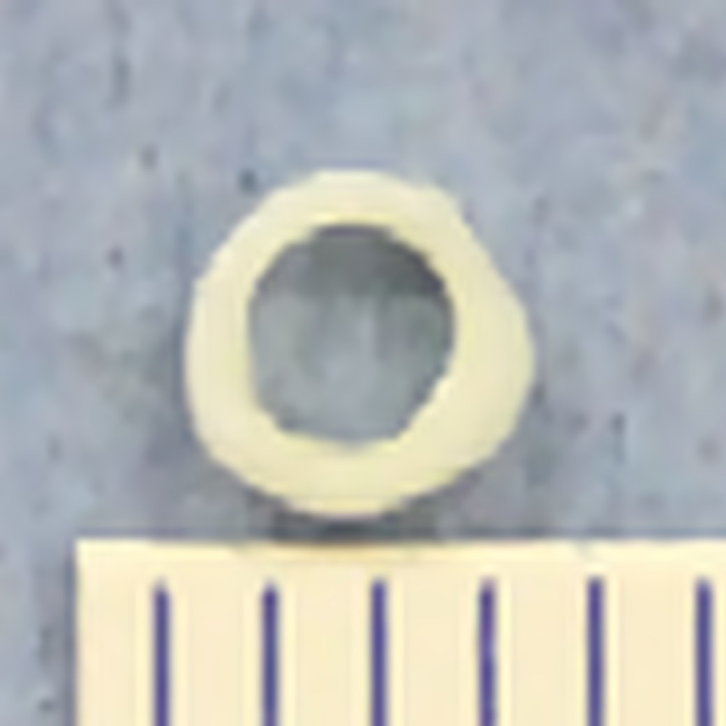 練習用血管の断面（目盛りは1mm）